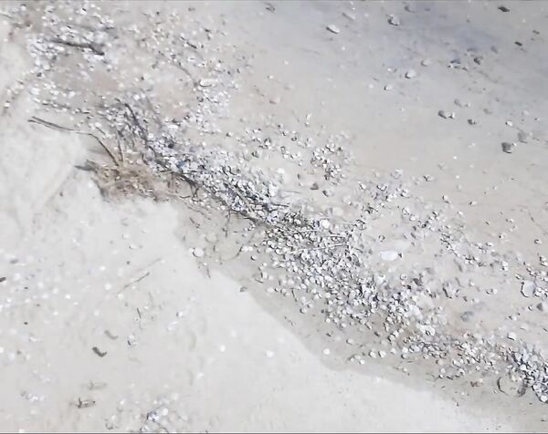 Хохлушку трахнул и открыл пляжный сезон