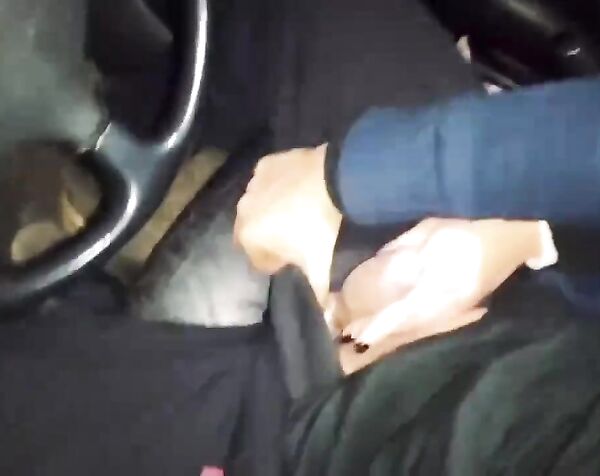 Соблазнил симпотную попутчицу