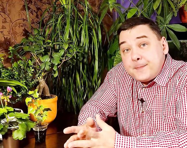 Декабрист не цветет? Заставим! [Коротко и ясно]