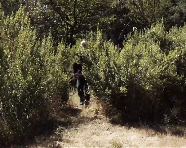 Лора Дромерик , Сэлли Маллинз , Фиби Доллар - Кровавый лагерь 8 Откровения / Laura Dromerick , Sally Mullins , Phoebe Dollar - C