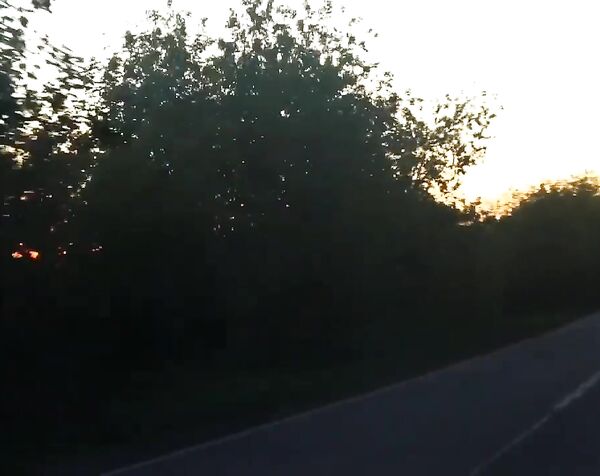 Мамынаохотеохотасдетьми