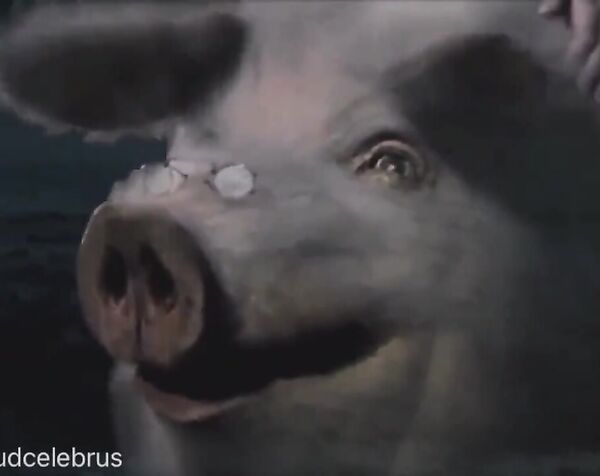 Голая Анна Ковальчук