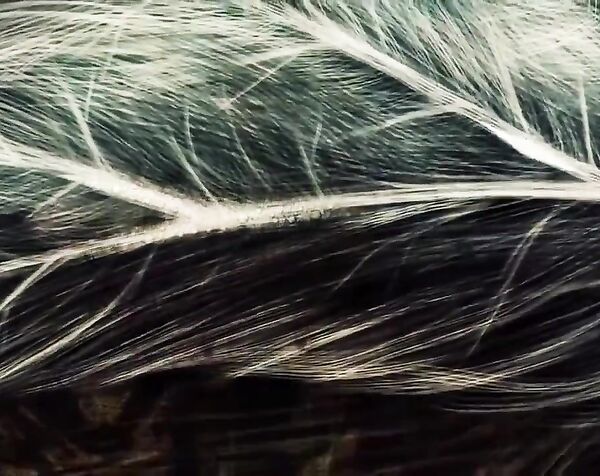 Наше будущее началось