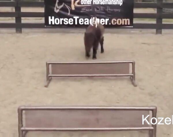 Приколы под музыку 2017 - Лучшие КУБ Приколы - Kozel TV