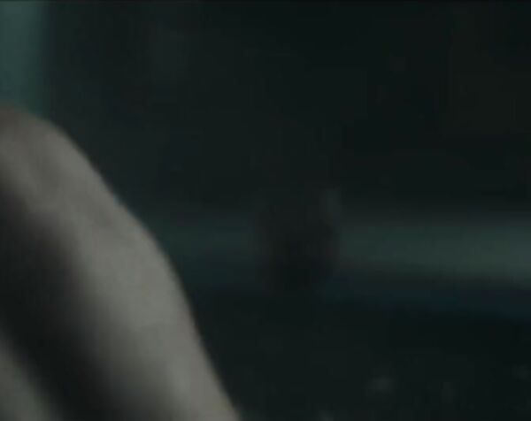 Шейла Ванд - Кто не спрятался / Sheila Vand - The Rental ( 2020 )