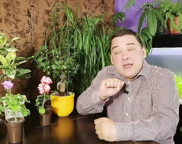 Эухарис Уход в домашних условиях