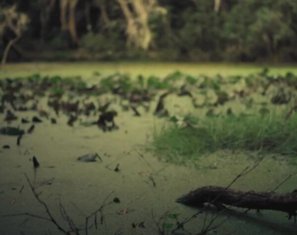 Моник Рокман - Последняя из нас / Monique Rockman - Gaia ( 2021 )