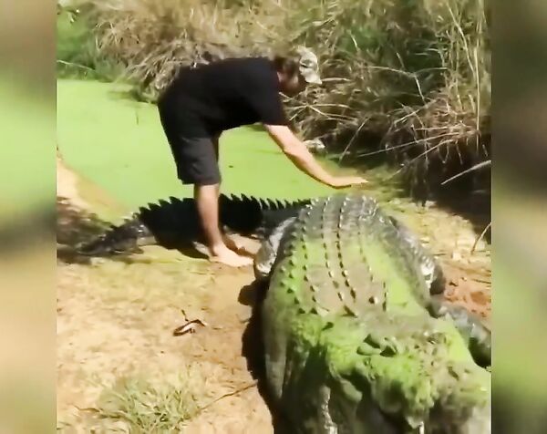 ЗЛОЙ COUB'ер - ЗЛОЙ BEST COUB #73