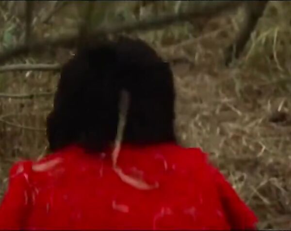 Риэ Накагава - Любители кисок / Rie Nakagawa - Koibito-tachi wa nureta ( 1973 )